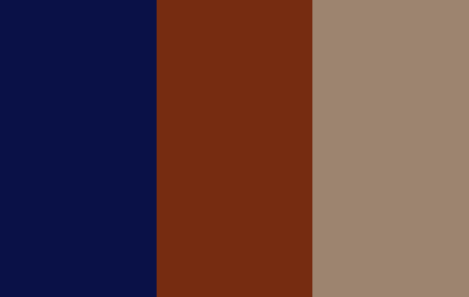 Neutral winter fashion colors, including navy, a reddish-brown and mocha brown.