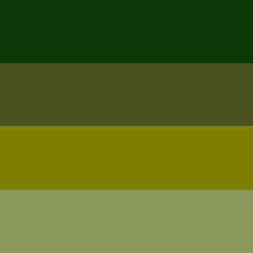 Swatches of the colors forest green, military green, olive and moss.