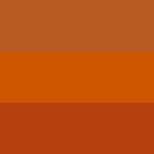 Swatches of the colors autumn, burnt orange and rust