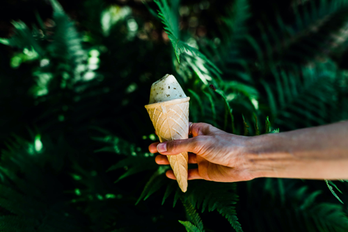 Someone holding a mint chocolate chip ice cream cone in front of green tropical leaves.