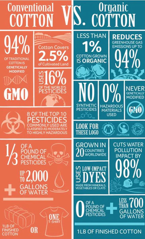 Conventional Cotton VS Organic Cotton visual showing 94% of cotton is GMO and less than 1% is all organic